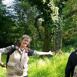 mirroring an oak